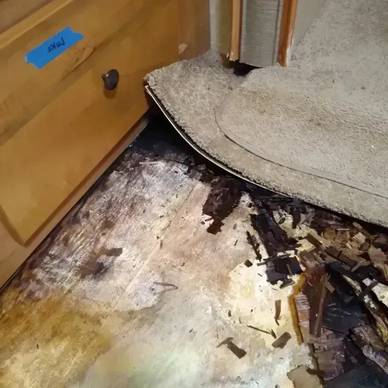 Best Wood Floor Water Damage Service in Harrisville, MI